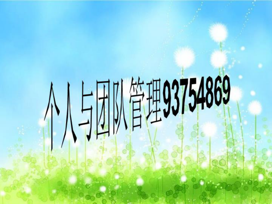 个人与团队管理93754869课件.ppt_第1页