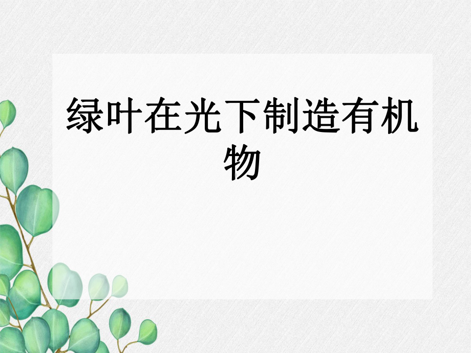 《绿色植物是生物圈中有机物的制造者》课件-(大赛获奖)2022年人教版-1.ppt_第3页