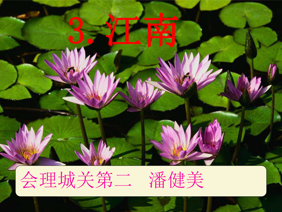 一年级语文《江南》课件.ppt_第1页