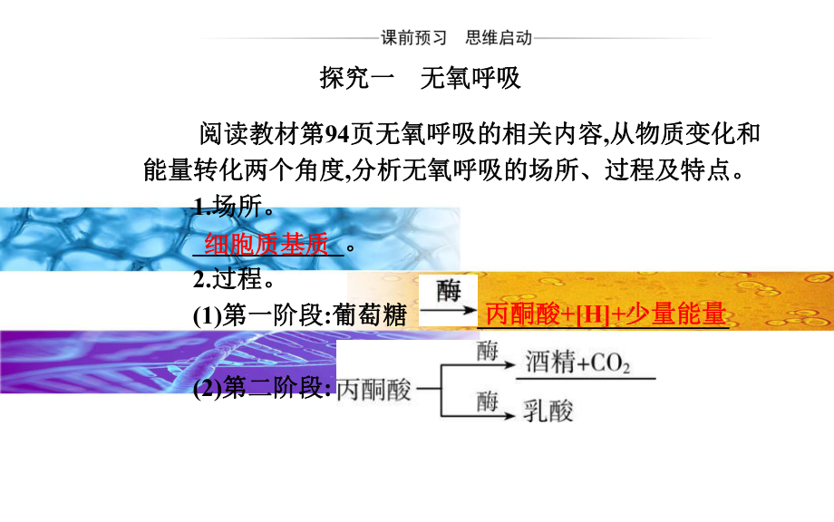 《细胞呼吸的原理和应用》课件人教版高中生物1.pptx_第3页