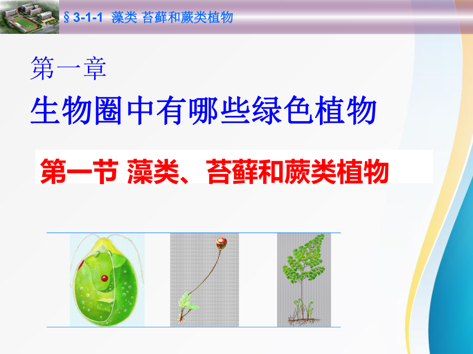 （七年级生物）藻类苔藓和蕨类植物课件.ppt_第1页