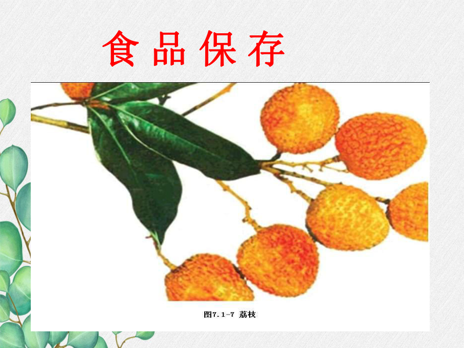 《食品保存》课件-(公开课获奖)2022年济南版-2.ppt_第3页