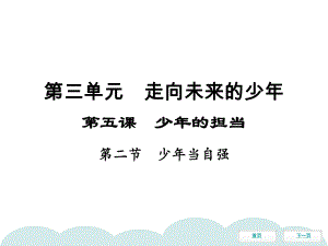 下册第五课第二节少年当自强同步冲刺课件-部编版道德与法治九年级全一册.pptx