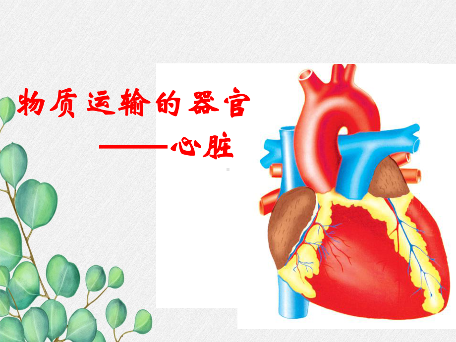 《物质运输的器官》课件-(公开课获奖)2022年济南版-2.ppt_第3页