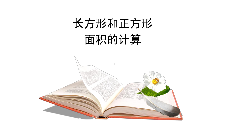 三年级下册数学长方形和正方形面积的计算西师大版-课件8.pptx_第1页