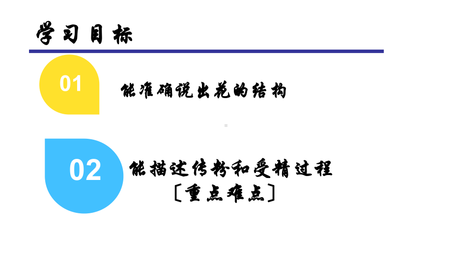 七年级生物开花和结果-2优秀课件.pptx_第3页