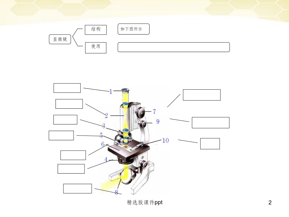 七年级生物上册第一单元认识生物复习人教新课标版课件.pptx_第2页