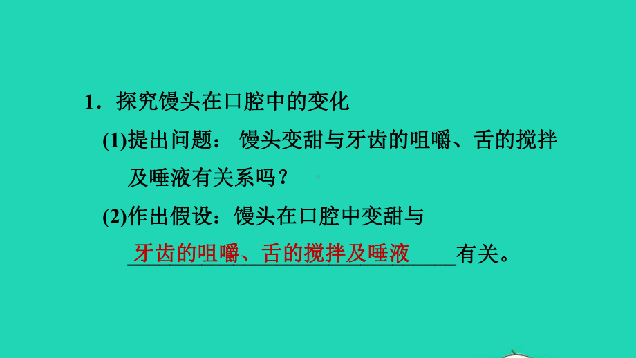 七年级生物上册第四单元生物圈中的人第二章人体的营养第2节消化和吸收课件鲁科版五四制.ppt_第2页