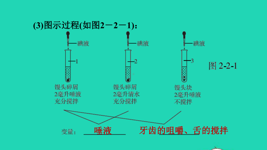 七年级生物上册第四单元生物圈中的人第二章人体的营养第2节消化和吸收课件鲁科版五四制.ppt_第3页