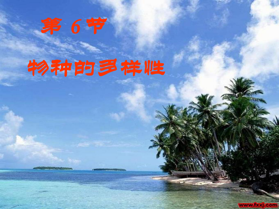 七年级上《物种的多样性》浙教版1课件.ppt_第1页