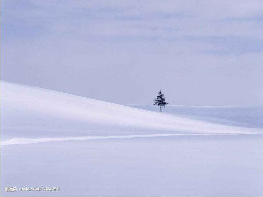 一年级语文上册-《12雪地里的小画家》优秀课件-部编版.ppt_第3页