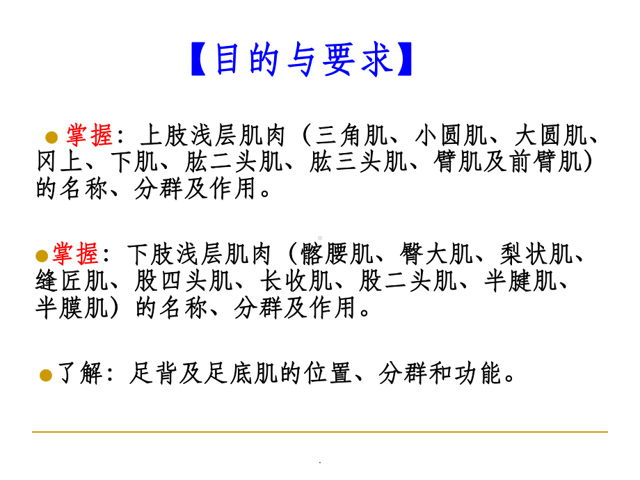 《系统解剖学》教学资料-四肢肌课件.ppt_第2页