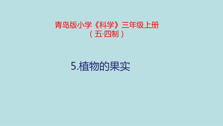 三年级上册科学《植物的果实》青岛版-课件2.pptx_第1页