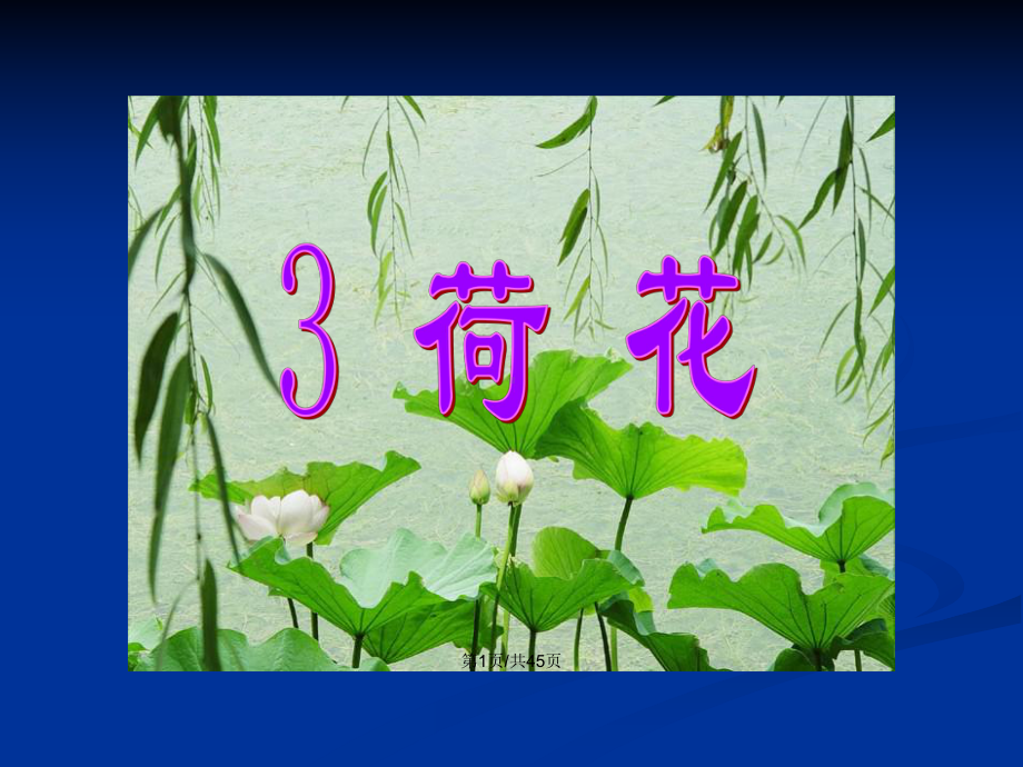 三年级下册语文第3课《荷花》91758学习教案课件.pptx_第2页