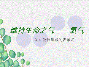 《物质构成的表示式》pp课件3-(公开课)2022年九年级化学课件.ppt