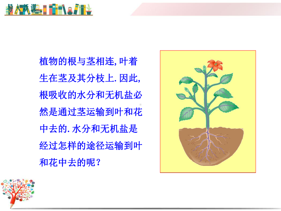 （北师大版适用）七年级初一生物上册《运输作用》课件.ppt_第2页