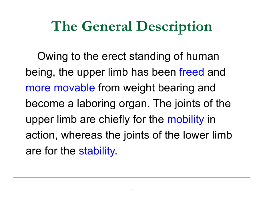 《系统解剖学》教学资料-section-3-joints-of-limb课件.ppt_第3页