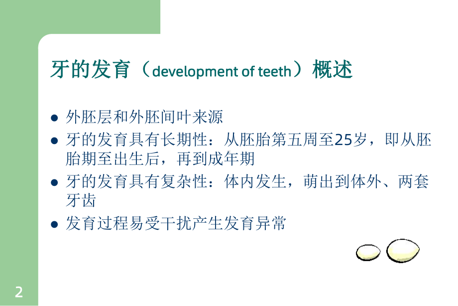 《牙的发育》课件.ppt_第2页