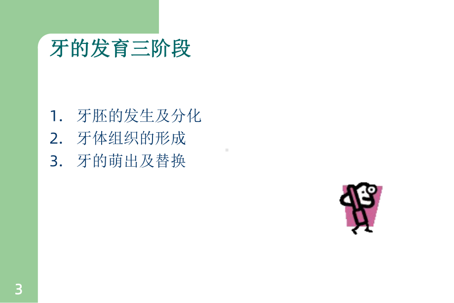 《牙的发育》课件.ppt_第3页