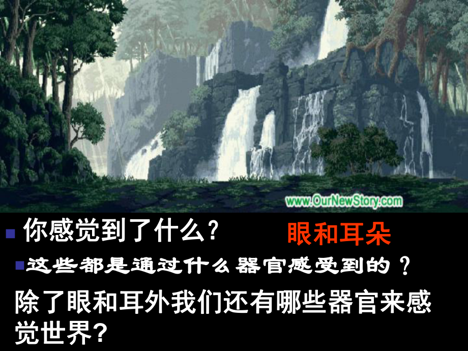 七年级下《感觉世界》教学浙教版1课件.ppt_第1页