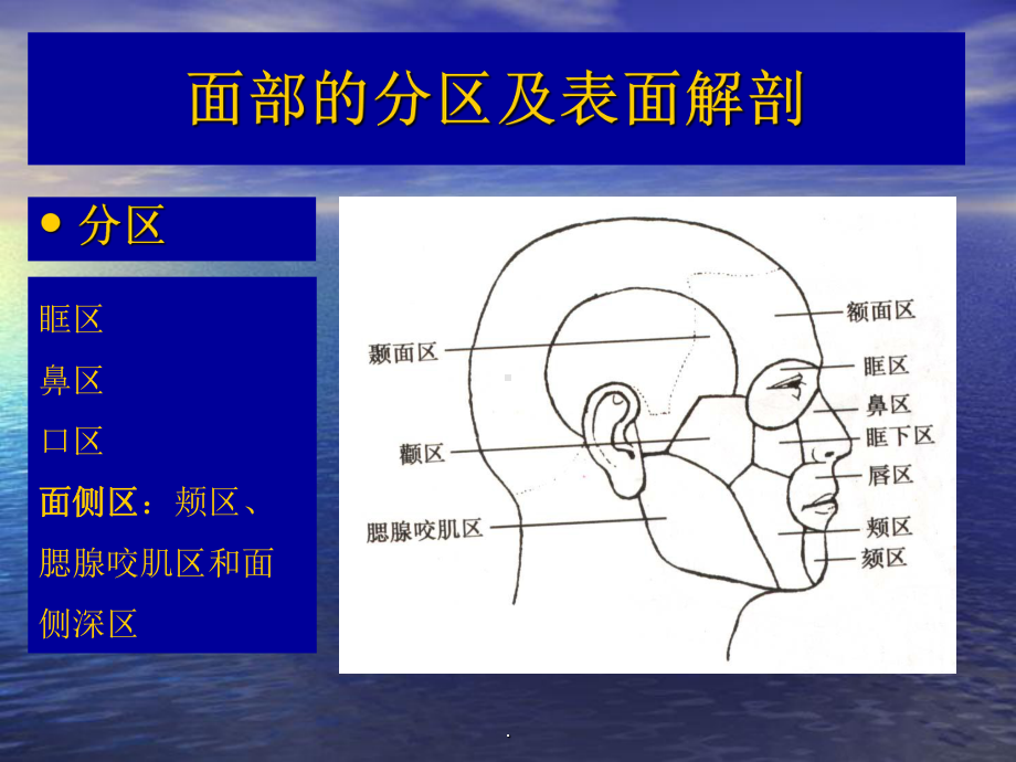 《面部局部解剖》课件.ppt_第3页