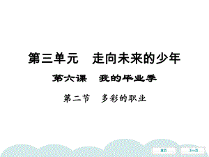 下册第六课第二节多彩的职业同步冲刺课件部编版道德与法治九年级全一册.pptx