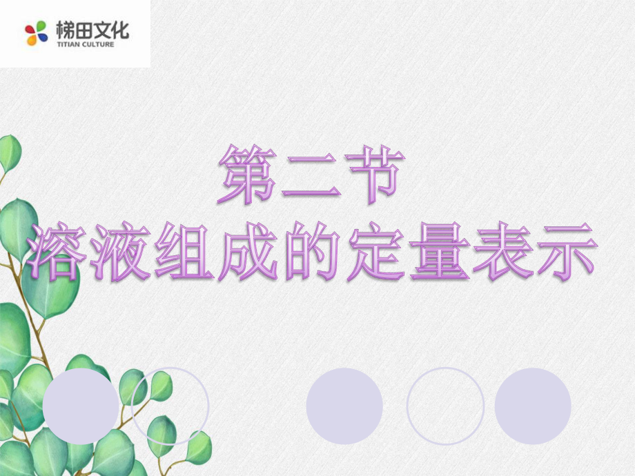 《溶液组成的定量表示》课件-(市优)2022年九年级化学课件.ppt_第1页