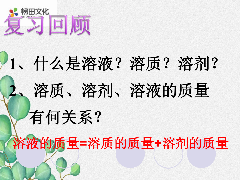 《溶液组成的定量表示》课件-(市优)2022年九年级化学课件.ppt_第2页