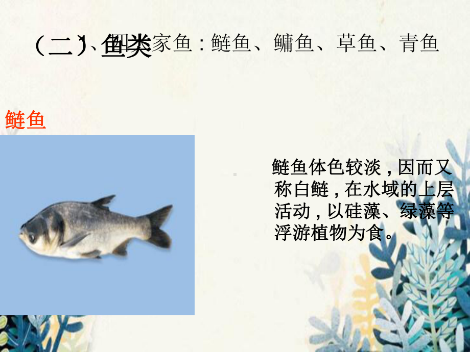 东莞市X中学八年级生物上册第五单元第一章第四节鱼课件2新版新人教版3.ppt_第3页