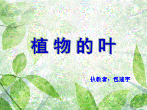 《植物的叶》粤教版小学2课件.ppt