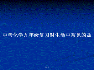 中考化学九年级复习时生活中常见的盐学习教案课件.pptx