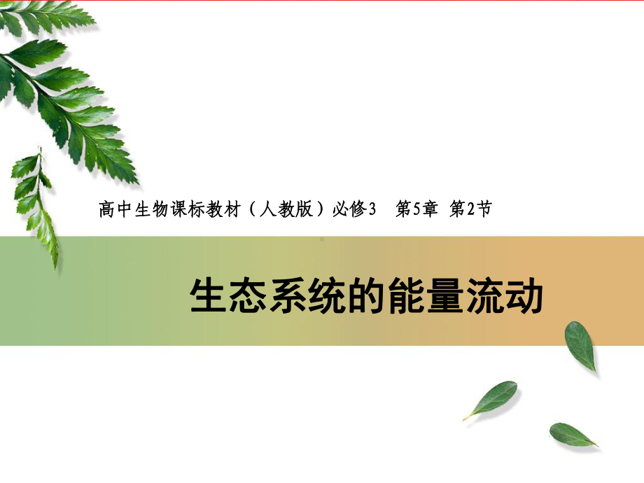 人教版必修三第五章第二节《生态系统的能量流动》49课件.pptx_第3页