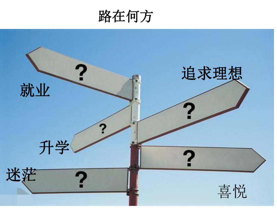 九年级道德与法治第十四课--第一次选择--合理选择-优秀课件.pptx_第2页