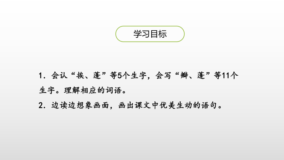 人教部编版三年级下册荷花第一课时完美版课件.pptx_第3页