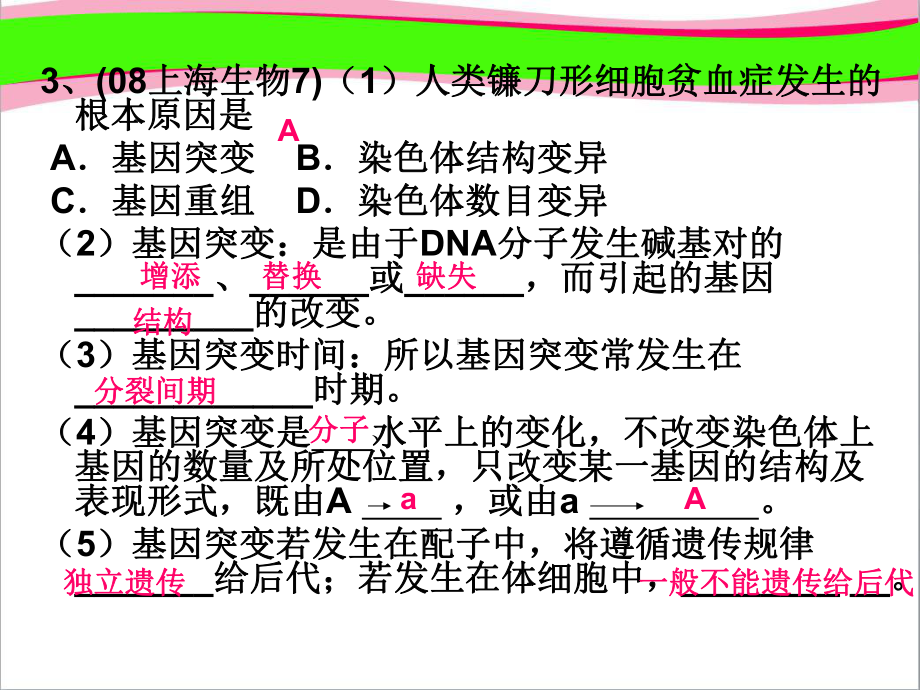 人教版必修二第五章基因突变和基因重组课件-公开课课件.ppt_第3页