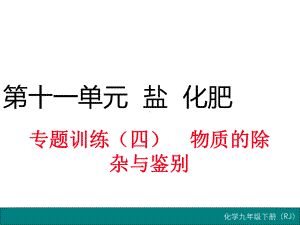 人教版初三九年级下册化学第十一单元-盐-化肥专题训练(四)-物质的除杂与鉴别课件.ppt