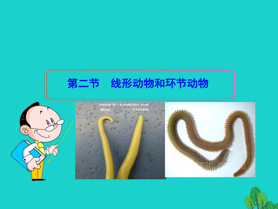 丰台区某中学八年级生物上册-第五单元-第一章-第二节-线形动物和环节动物课件+视频素材-新版新人教.ppt_第1页