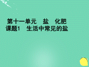 九年级化学下册第十一单元课题1生活中常见的盐课件(新版)新人教版.ppt