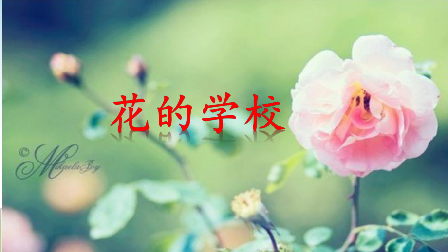 人教部编版三年级《花的学校》公开课3课件.pptx_第1页