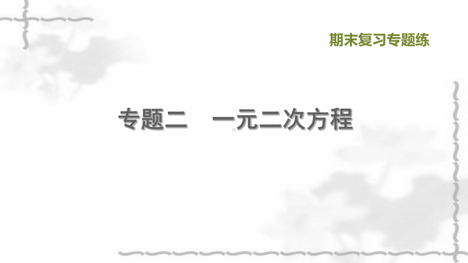 九年级数学上册期末复习专题练2一元二次方程习题课件.ppt_第1页