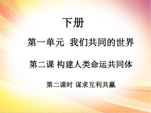 人教部编版九年级道德与法治下册课件：课后作业第二课第二课时1.ppt