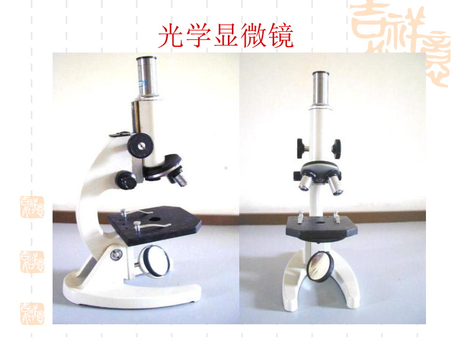 人教版七年级生物上册-《练习使用显微镜》细胞是生命活动的基本单位课件5-.ppt_第3页