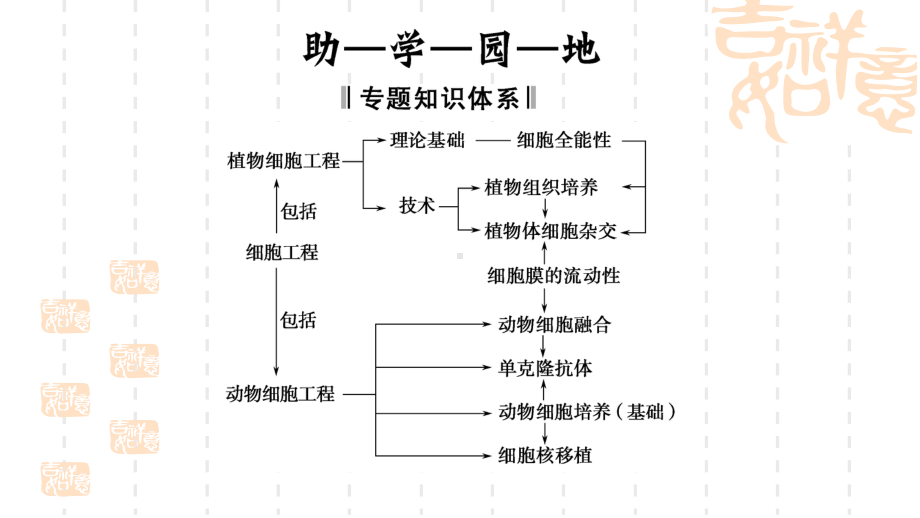 人教版高中生物选修三专题2《细胞工程》专题复习课件.ppt_第2页