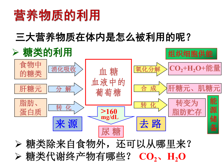 九年级上《体内物质的动态平衡》课件浙教版1.pptx_第3页