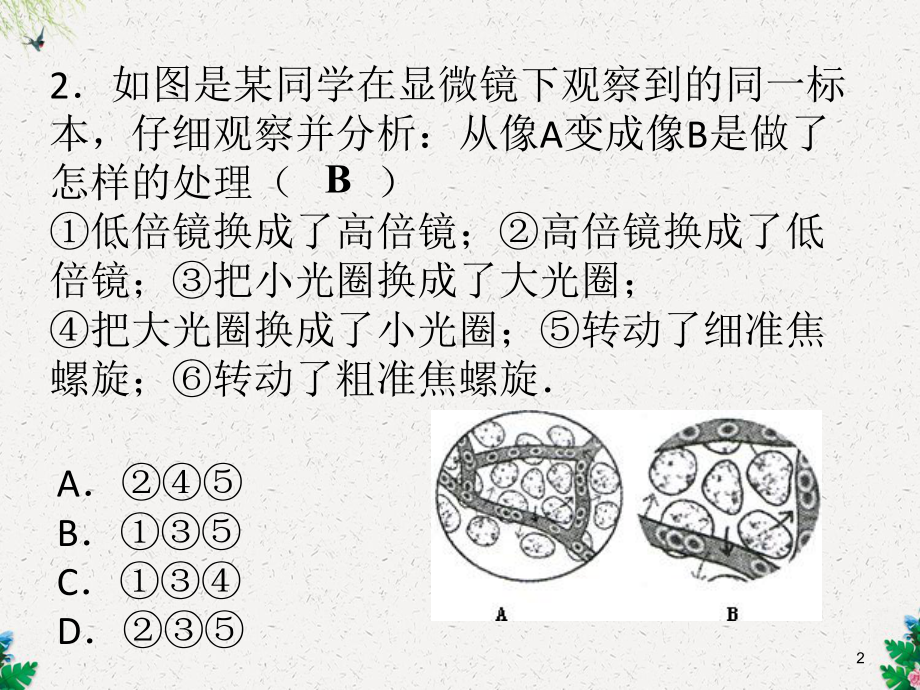 人教版七年级生物上册课件：第二单元第一章-细胞是生命活动的基本单位-综合检测-.ppt_第2页