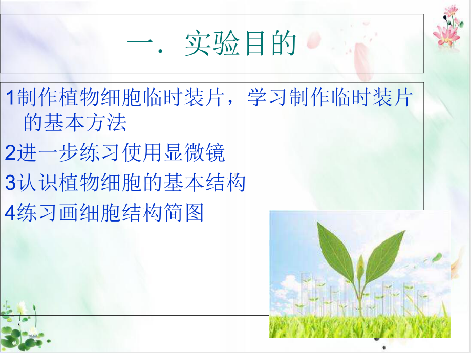 人教版初中生物《观察植物细胞》课件.ppt_第2页