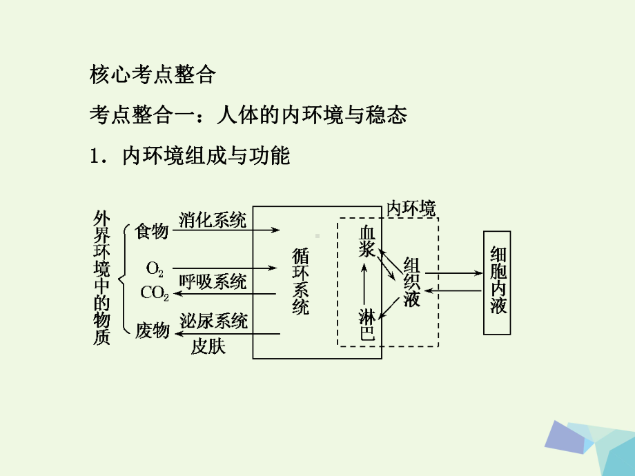 临门一脚高考生物三轮考前重点专题突破：专题三人体的内环境与稳态高品质版课件.ppt_第2页