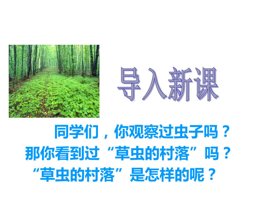 人教部编版语文《草虫的村落》精美课件同课异构.ppt_第2页