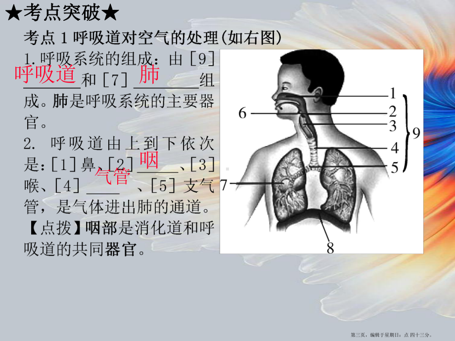 人教初中生物七下《第4单元-第3章-人体的呼吸》课件-3.ppt_第3页