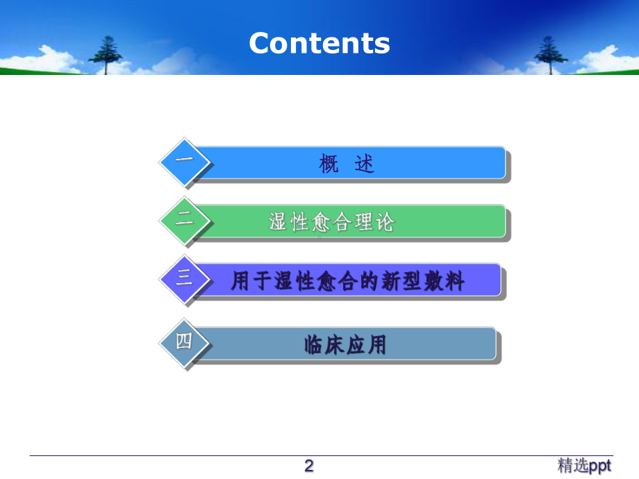 压疮湿性愈合理论课件.ppt_第2页